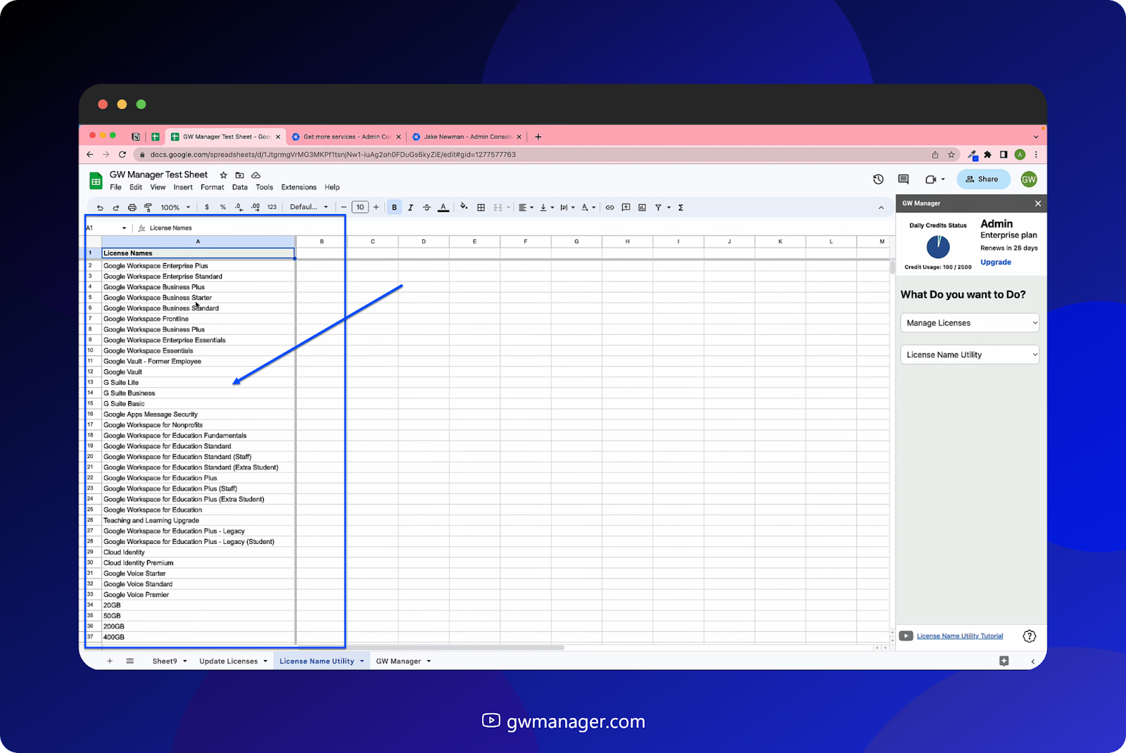 You can copy license names from here and paste in update licenses sheet