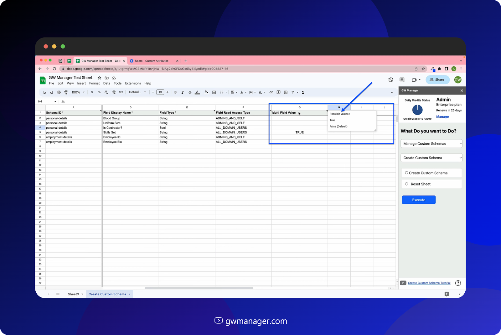 we have multi field value in GW Manager some possible values are true or false.