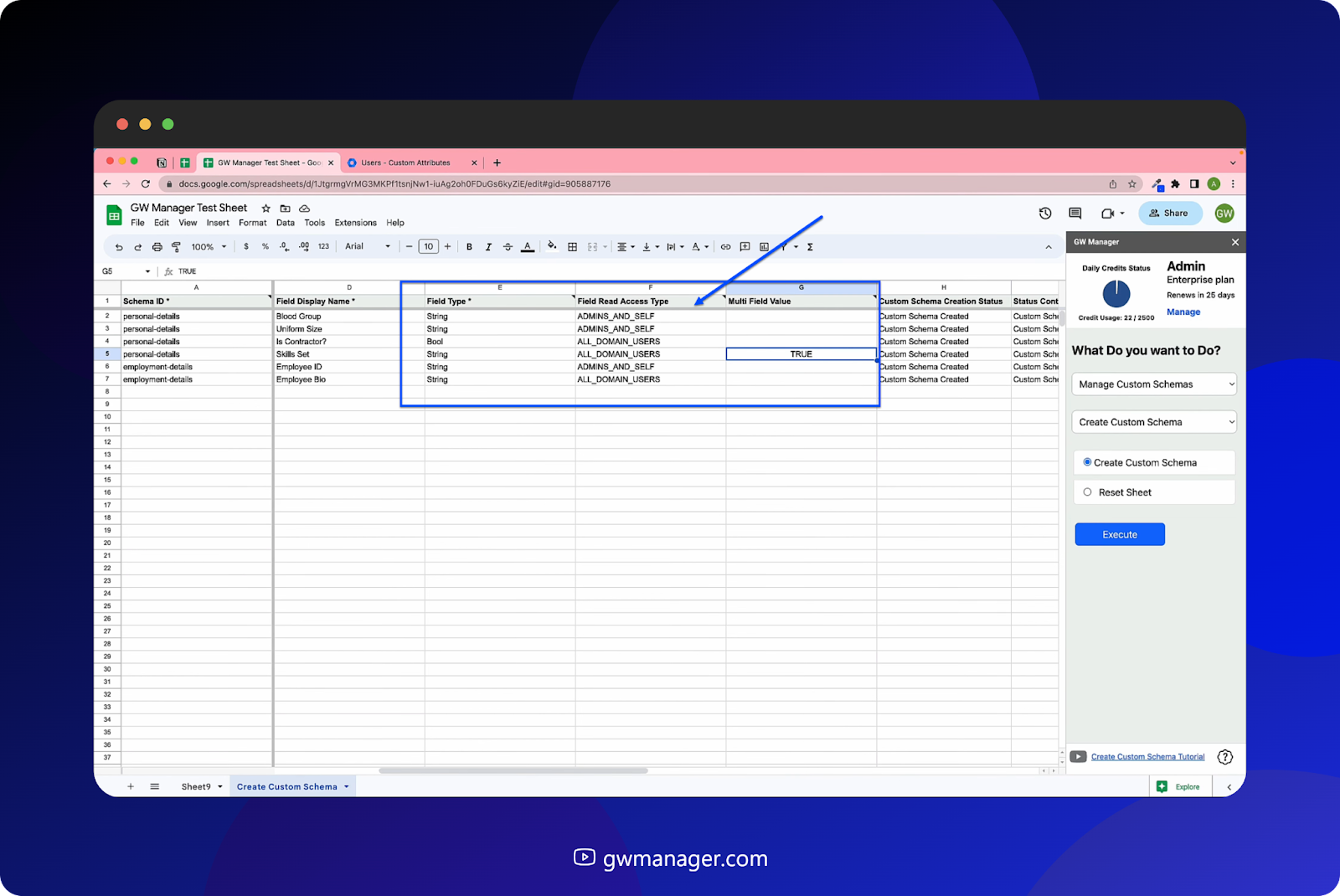 GW manager, We told it to create a skillset field  true to bypass the default false value.