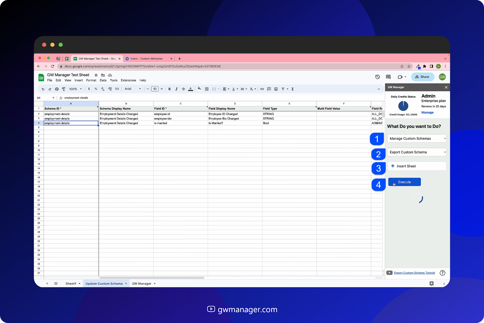 Make Changes to existing Custom schemaunder manage custom schemas, insert the sheet and click on" Execute"