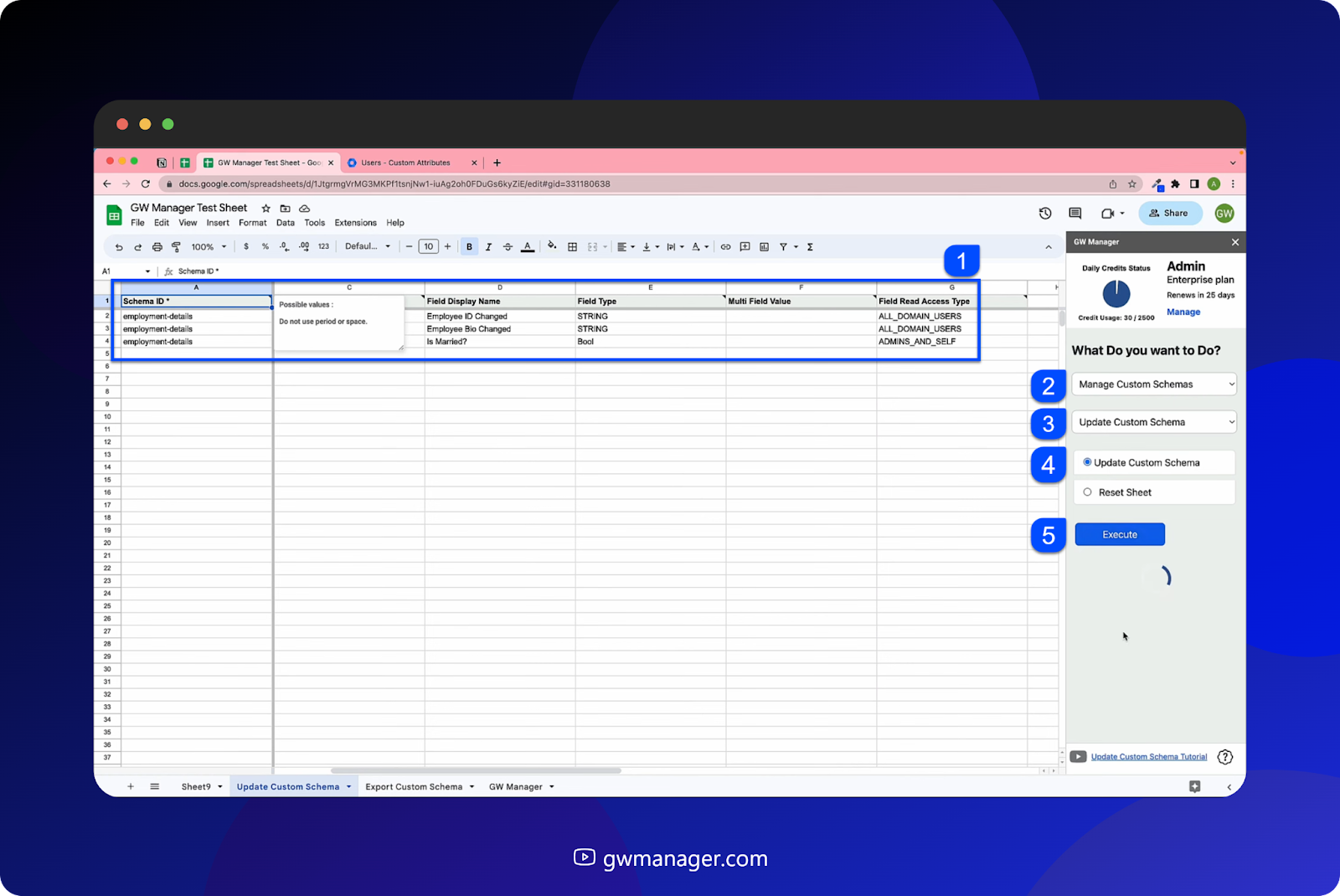 Entered all the information in update custom schema select update custom schema, and then click on Execute. 