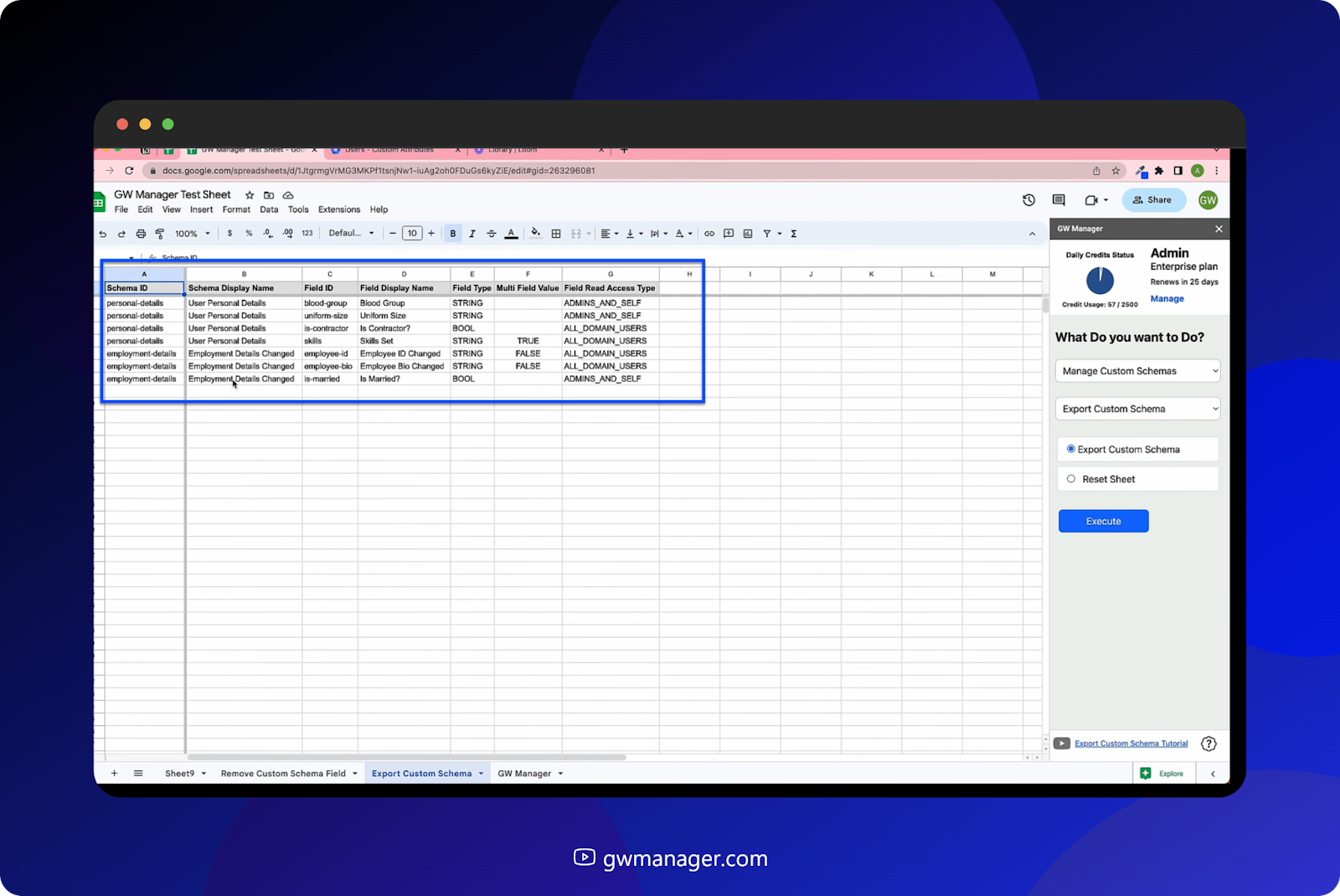 It will add schema ID and Field ID details