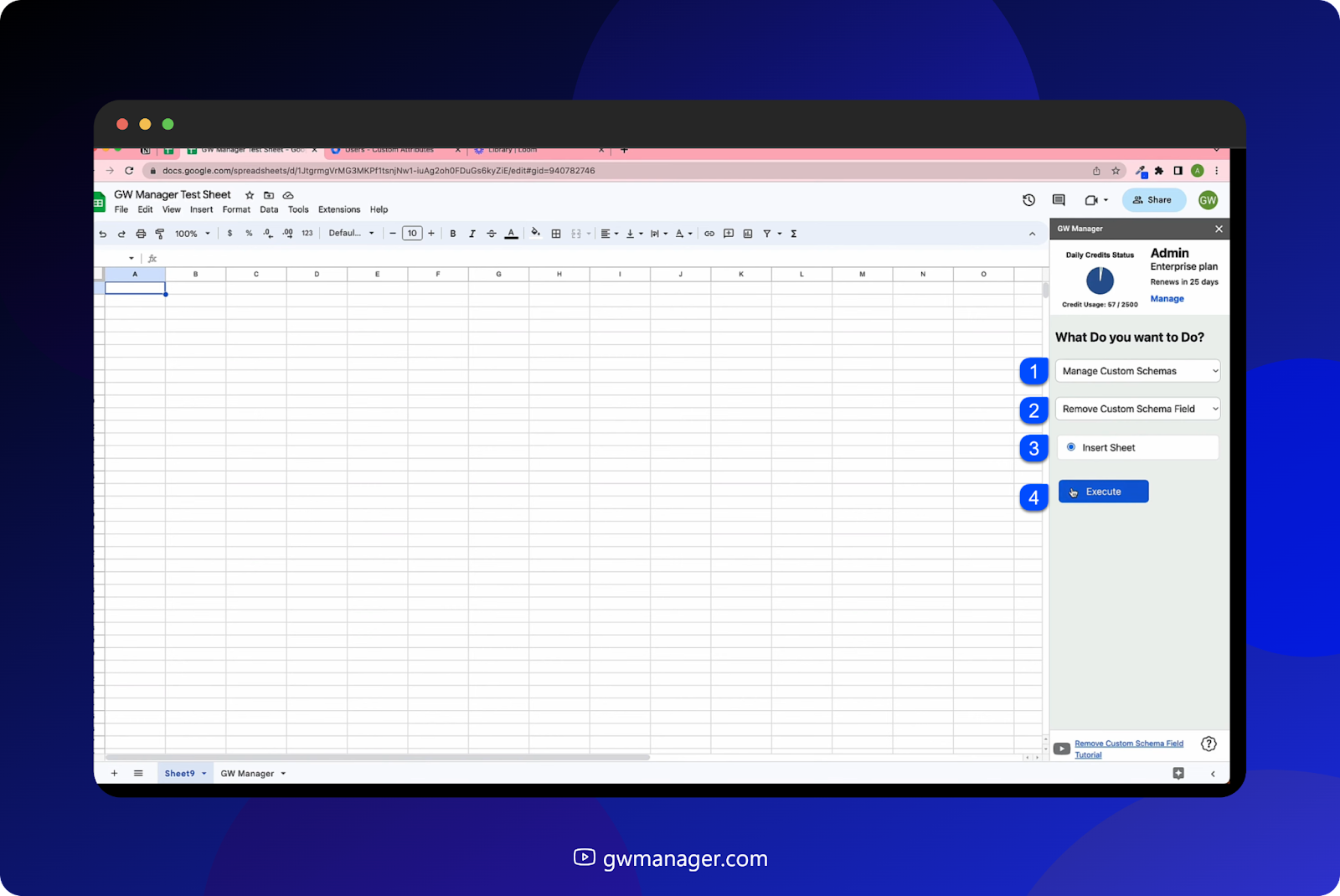 Click on Remove Custom schema sheet we'll click on execute. It has inserted a custom schema sheet.