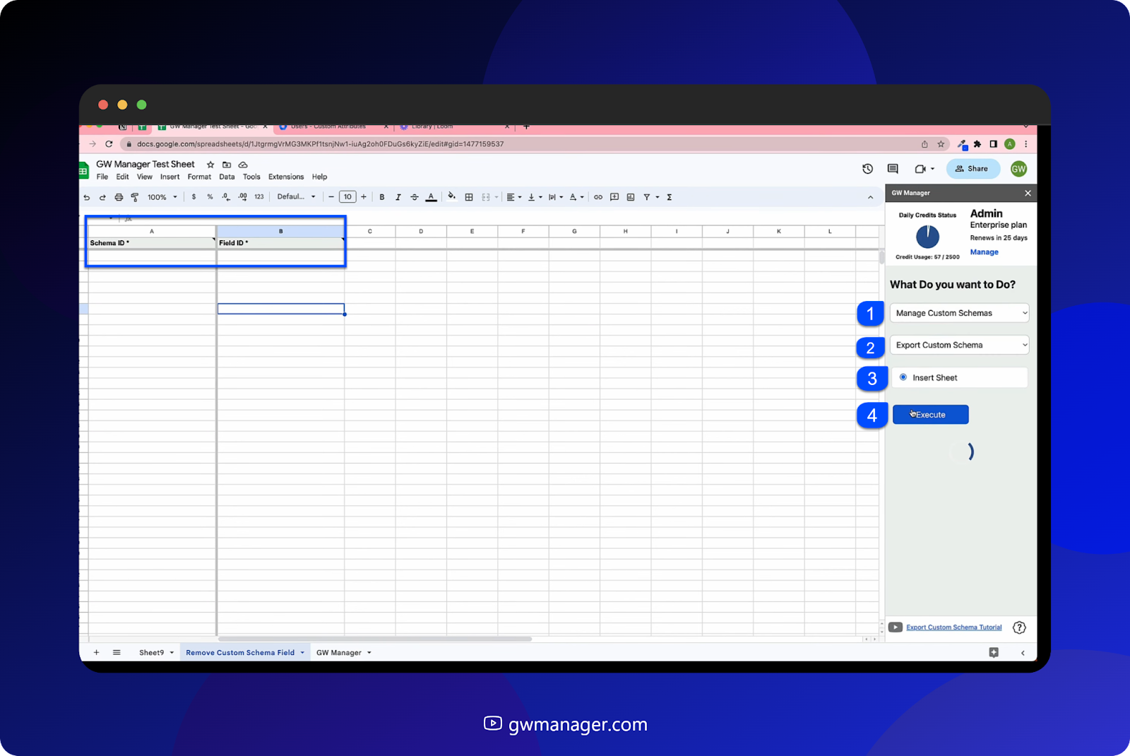 added The schema ID and field id, Click on export custom schema, inserted export sheet and click on run