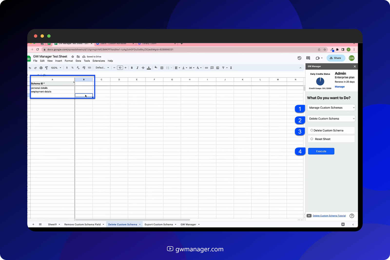 Delete custom schema, now we will select delete custom schema.