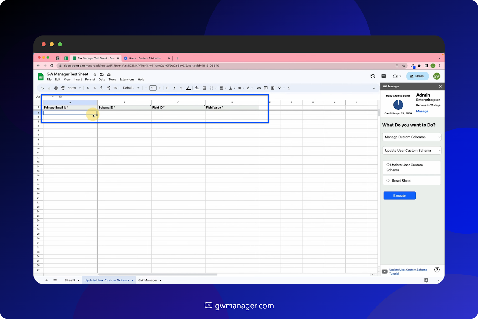 GW Manager has now inserted an updated user custom schema sheet, and Information