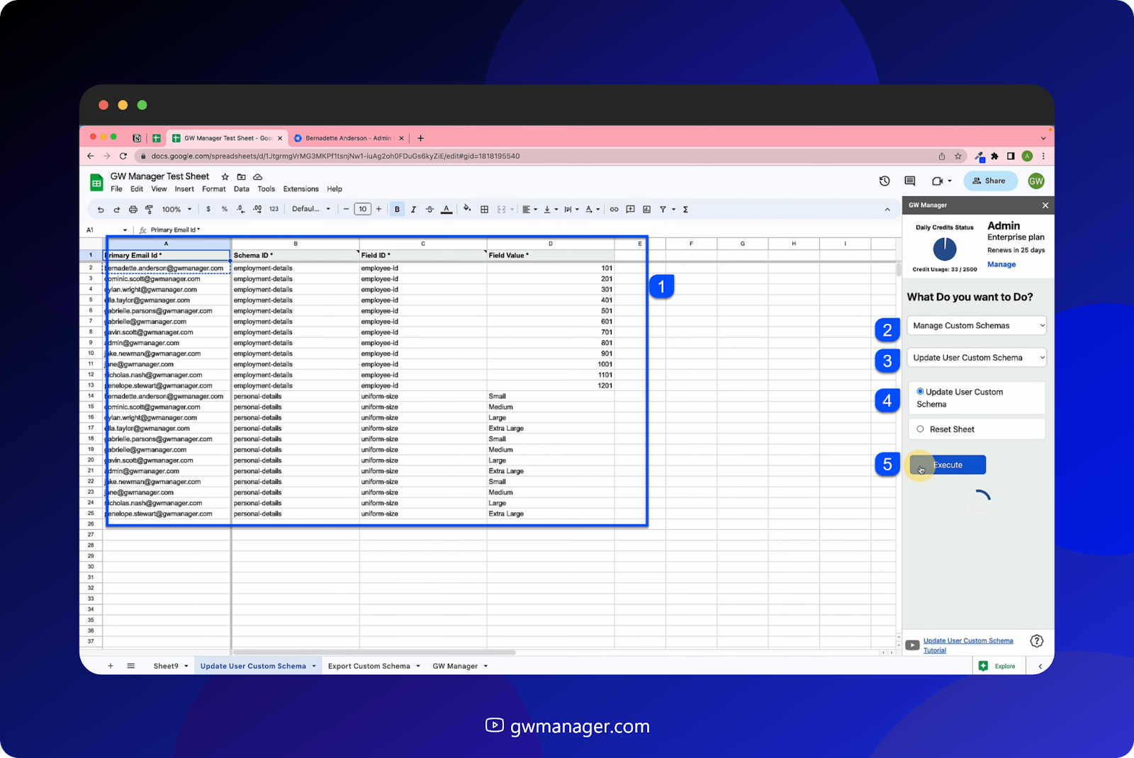 update the user custom schema, select update User Custom schema, and click on Execute. 