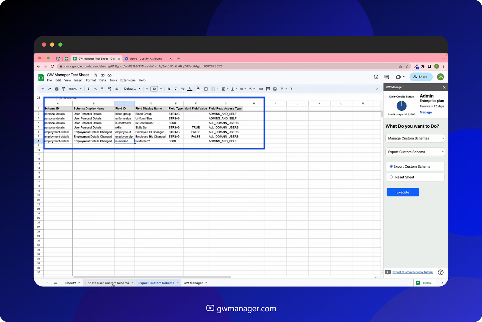 IN this sheet  we have schema ID and the field ID for all the custom schemas and so on.