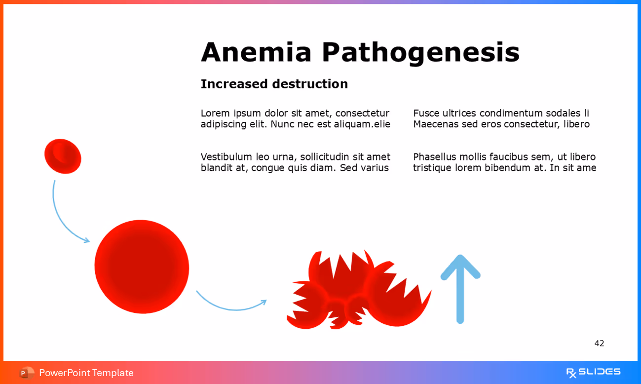 Anemia Pathogenesis: Increased Destruction of RBCs