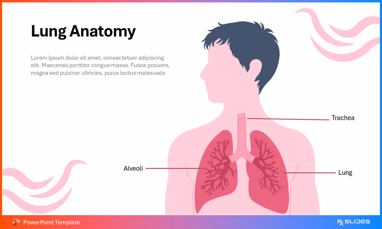 Lung Anatomy Animated PPT Slide Template