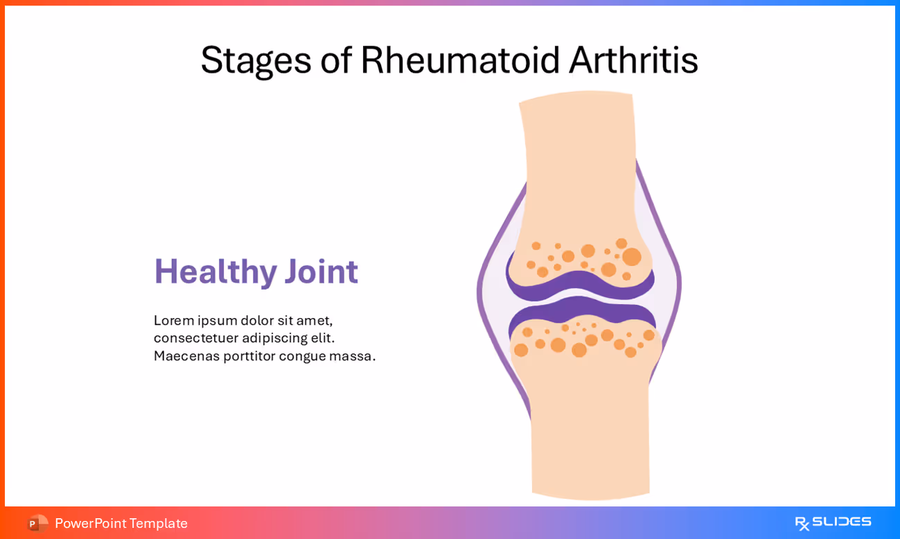 Healthy Joint Anatomy – Animated Illustration
