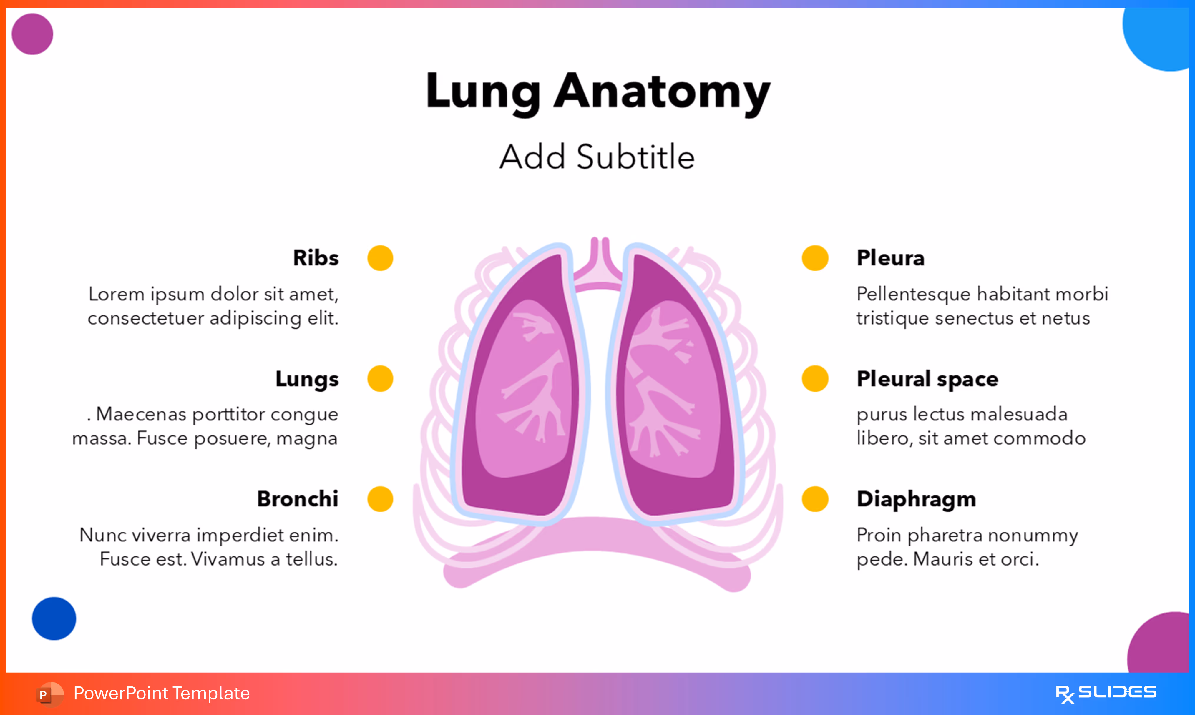 Lung Anatomy Animated Slide