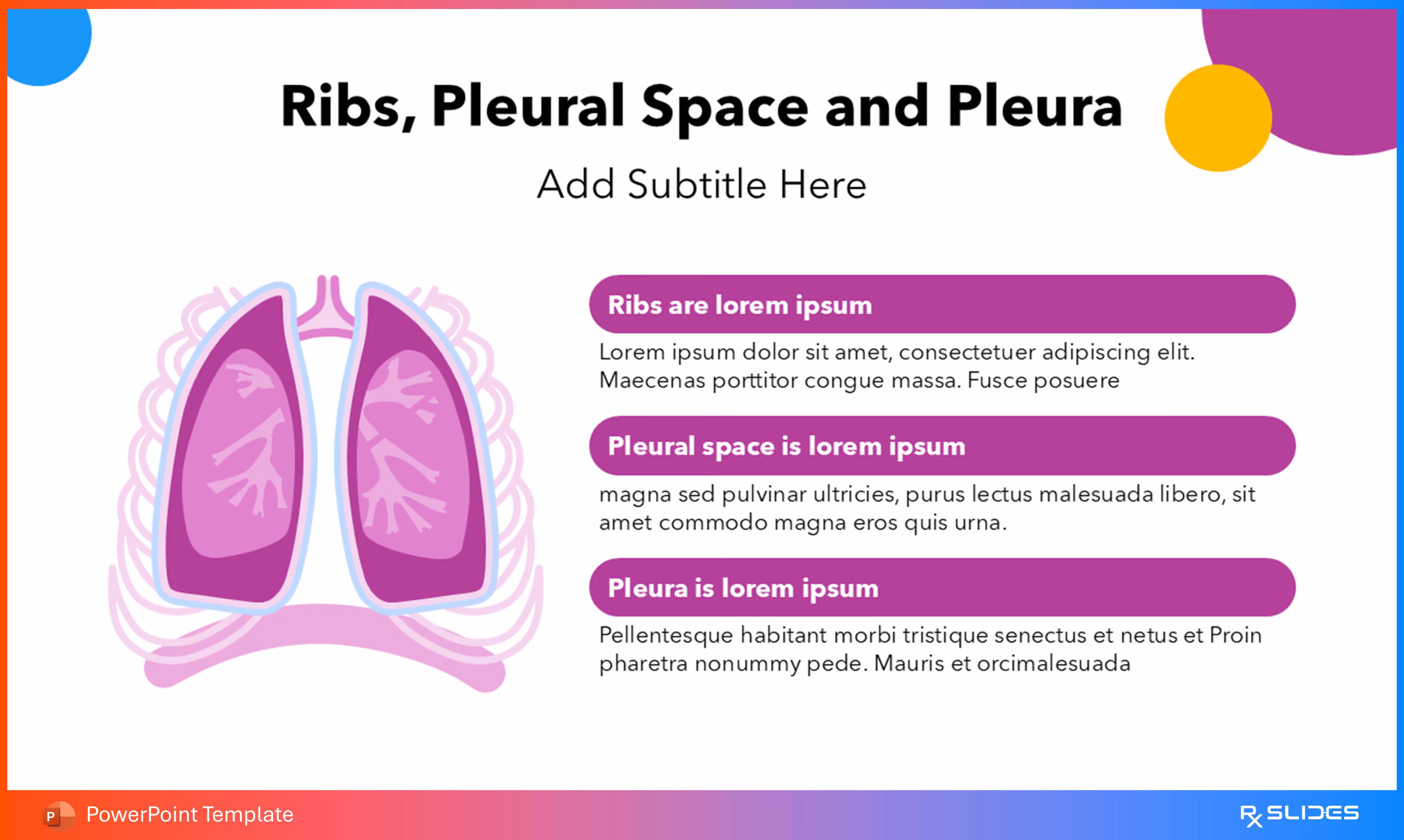 Animated Slide for Detailing Ribs, Pleural Space, and Pleura