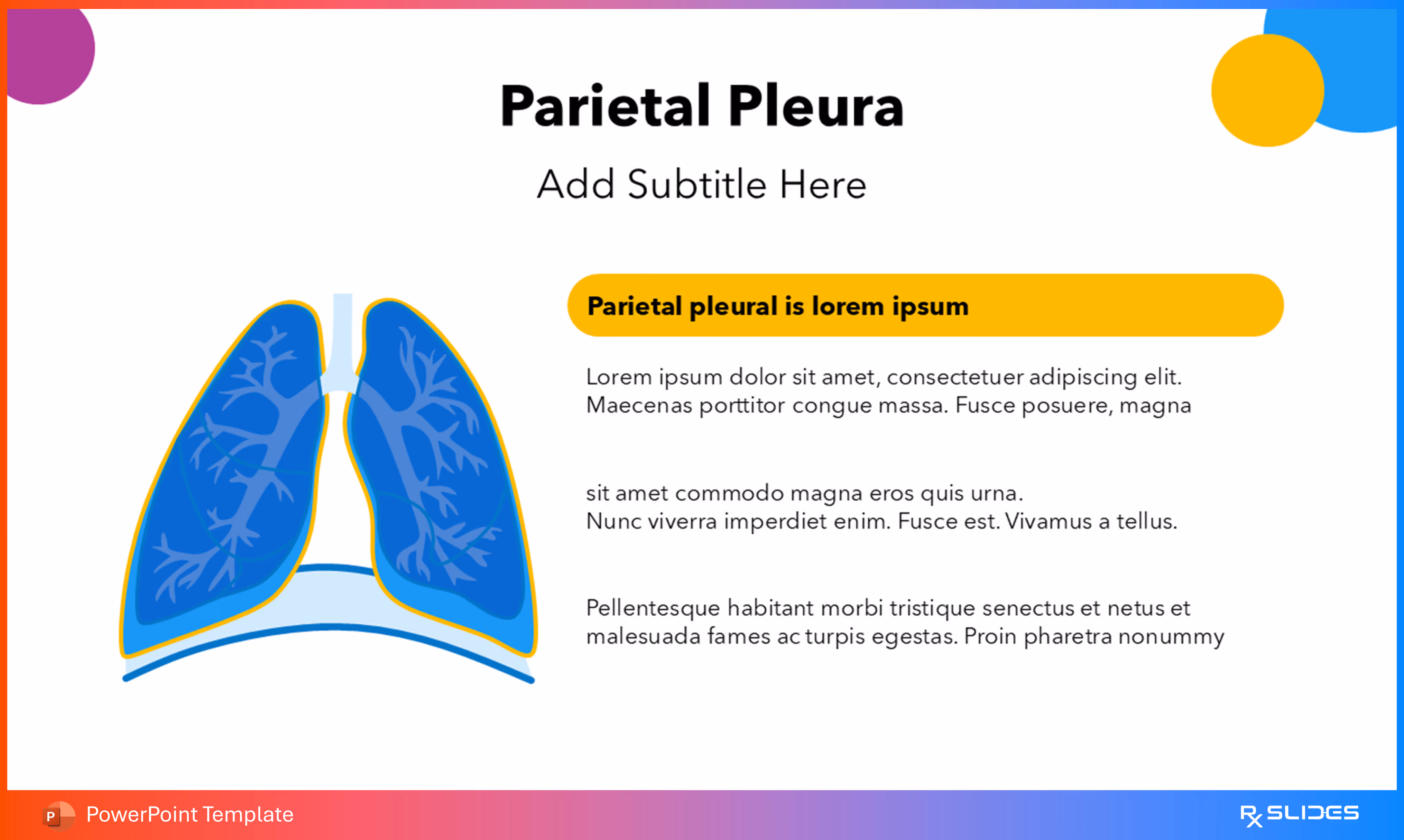 Animated Slide for Parietal Pleura