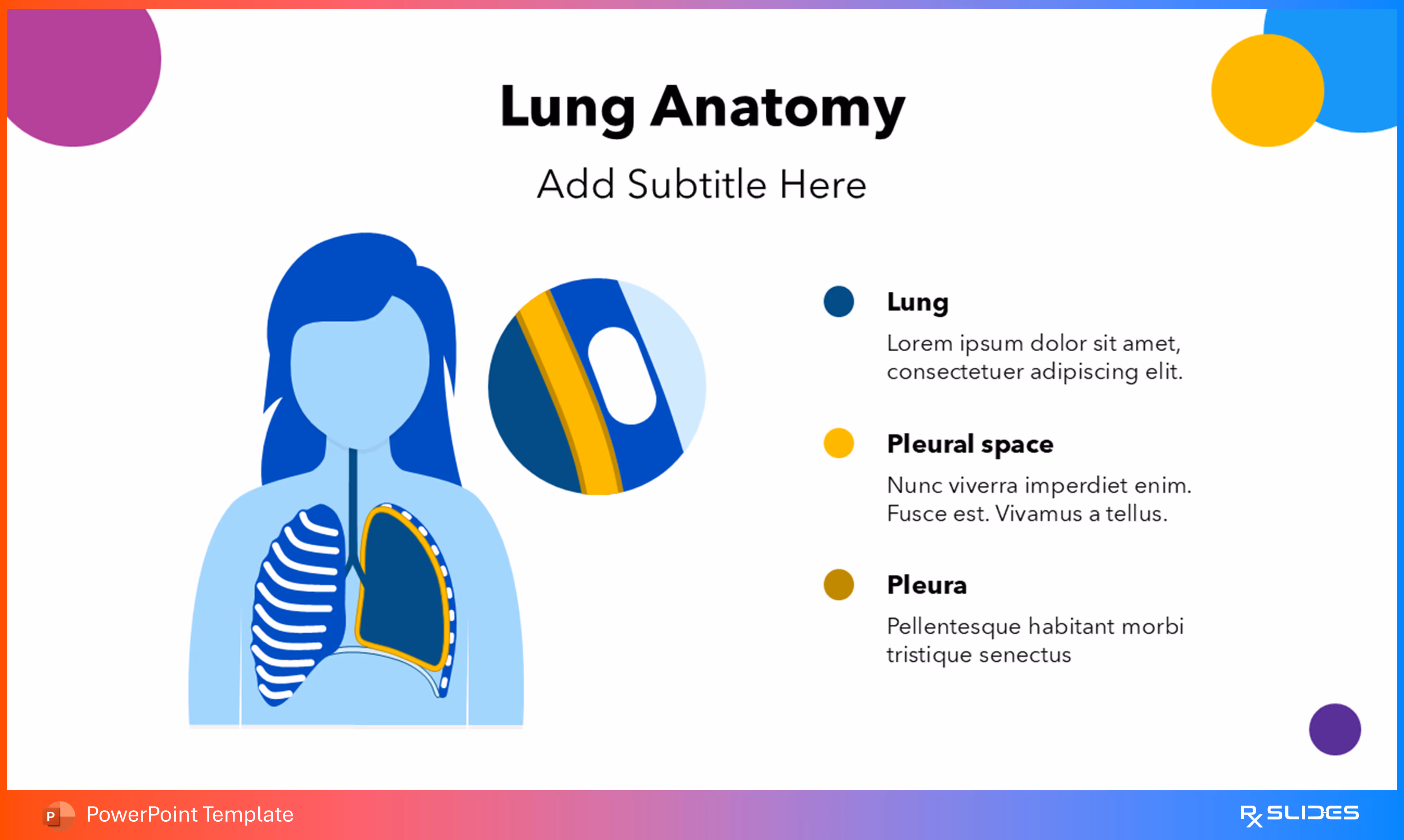 Lung Anatomy Content Slide