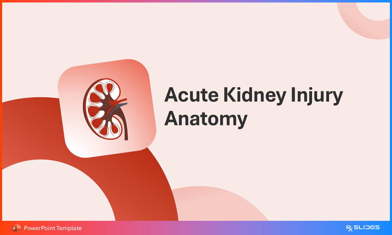 Acute Kidney Injury Anatomy Section Divider