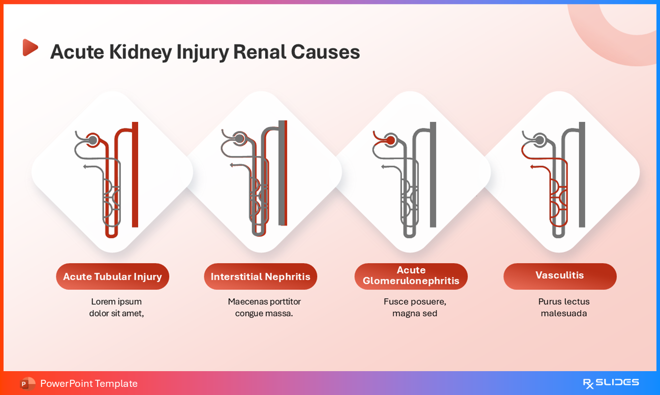 Acute Kidney Injury Renal Causes