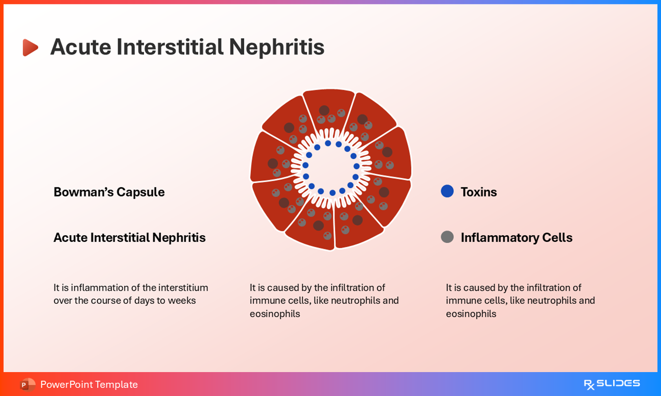 Acute Interstitial Nephritis Explained