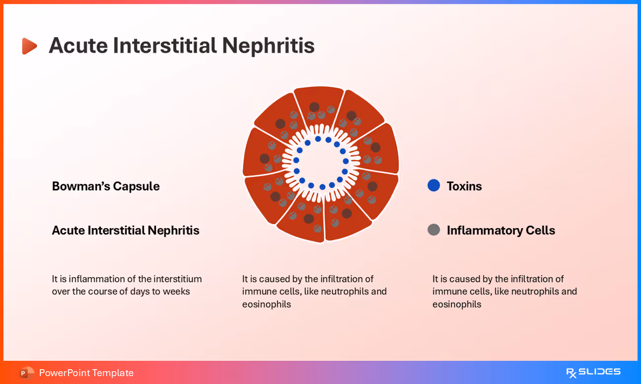 Acute Interstitial Nephritis Explained