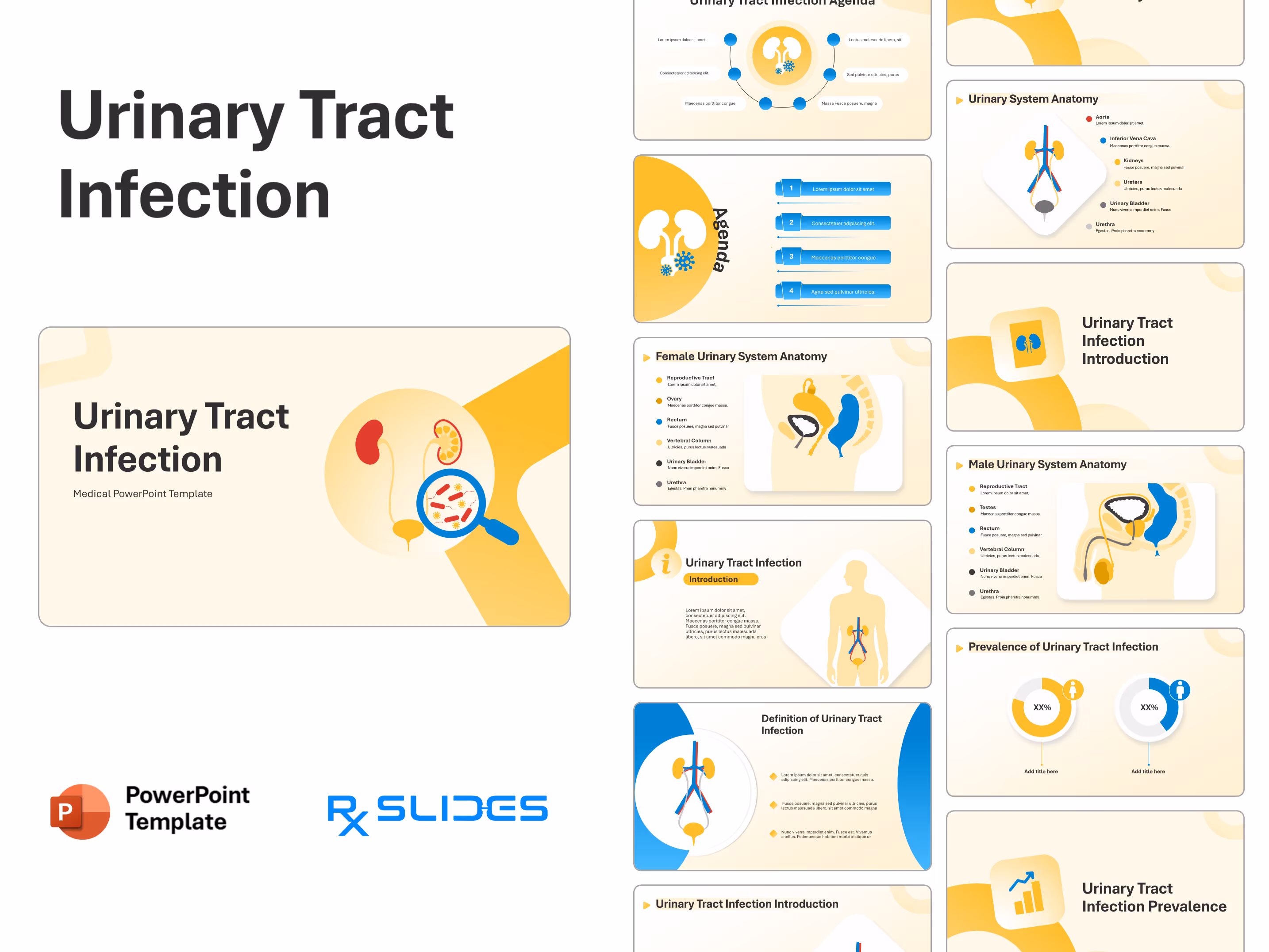 Urinary Tract Infection PowerPoint Template