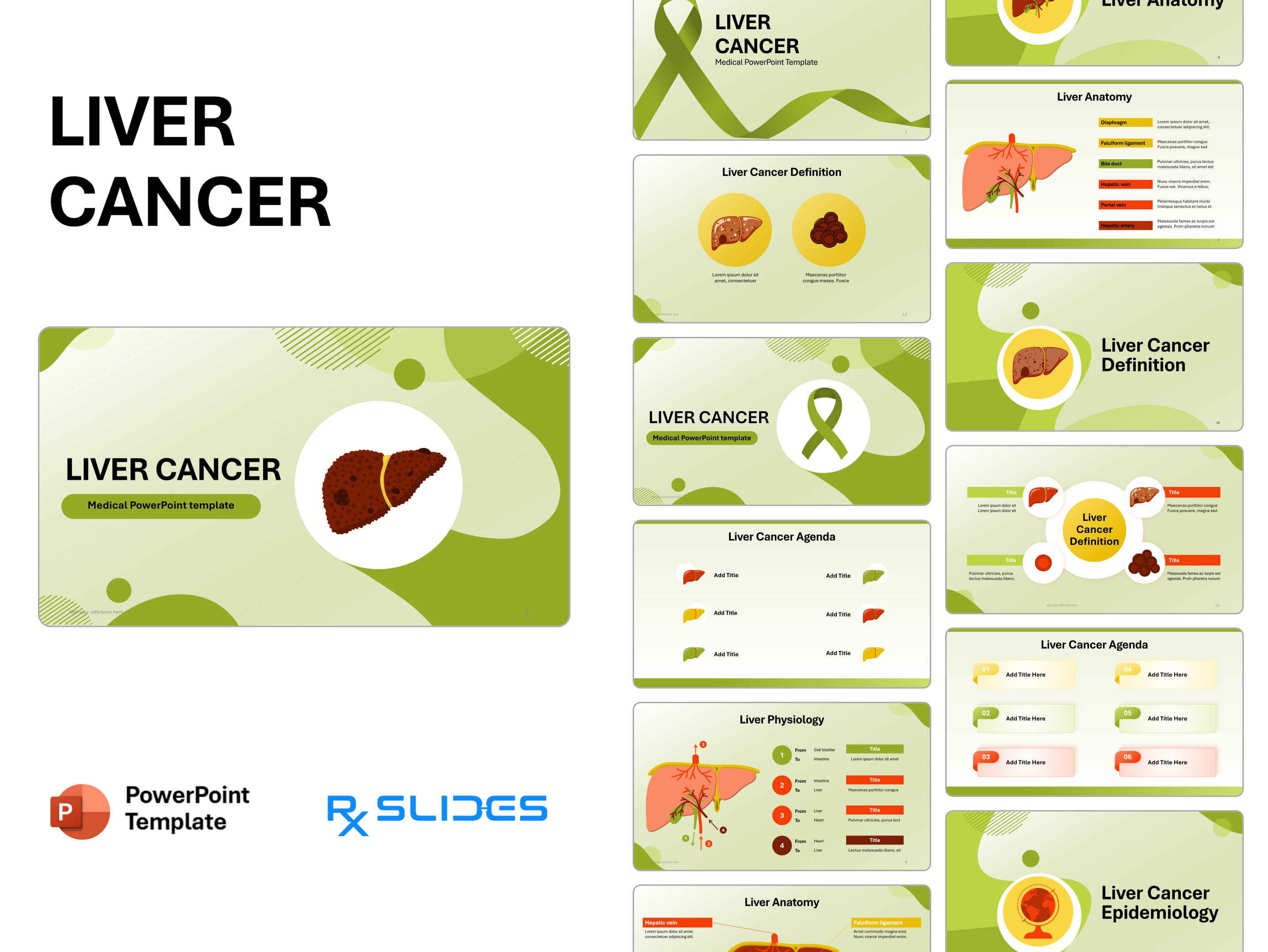Liver Cancer PowerPoint Template