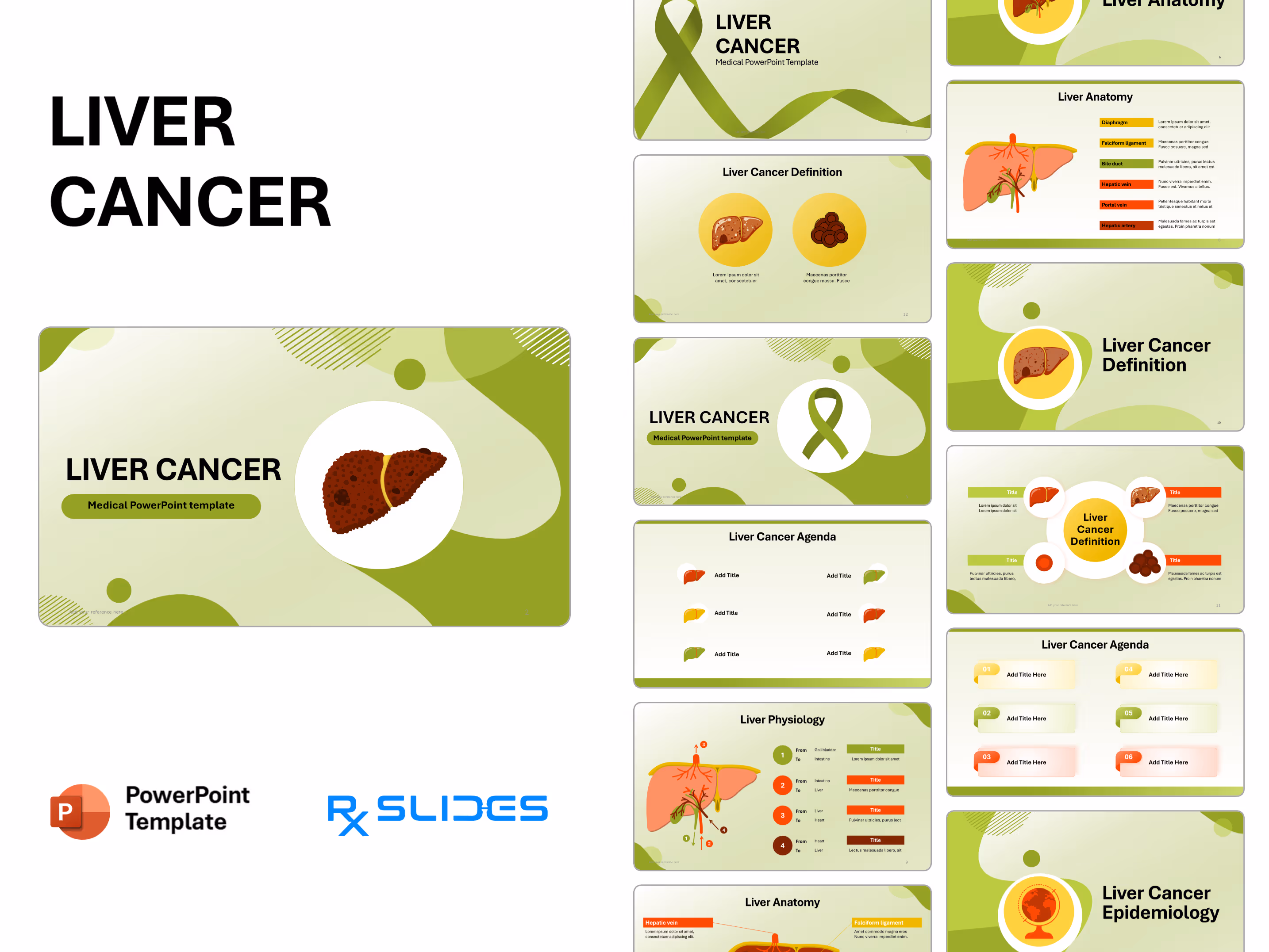 Liver Cancer PowerPoint Template