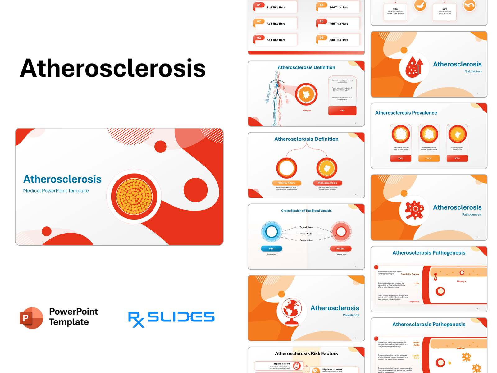Download Cardiovascular anatomy & physiology PowerPoint Template|RxSlides