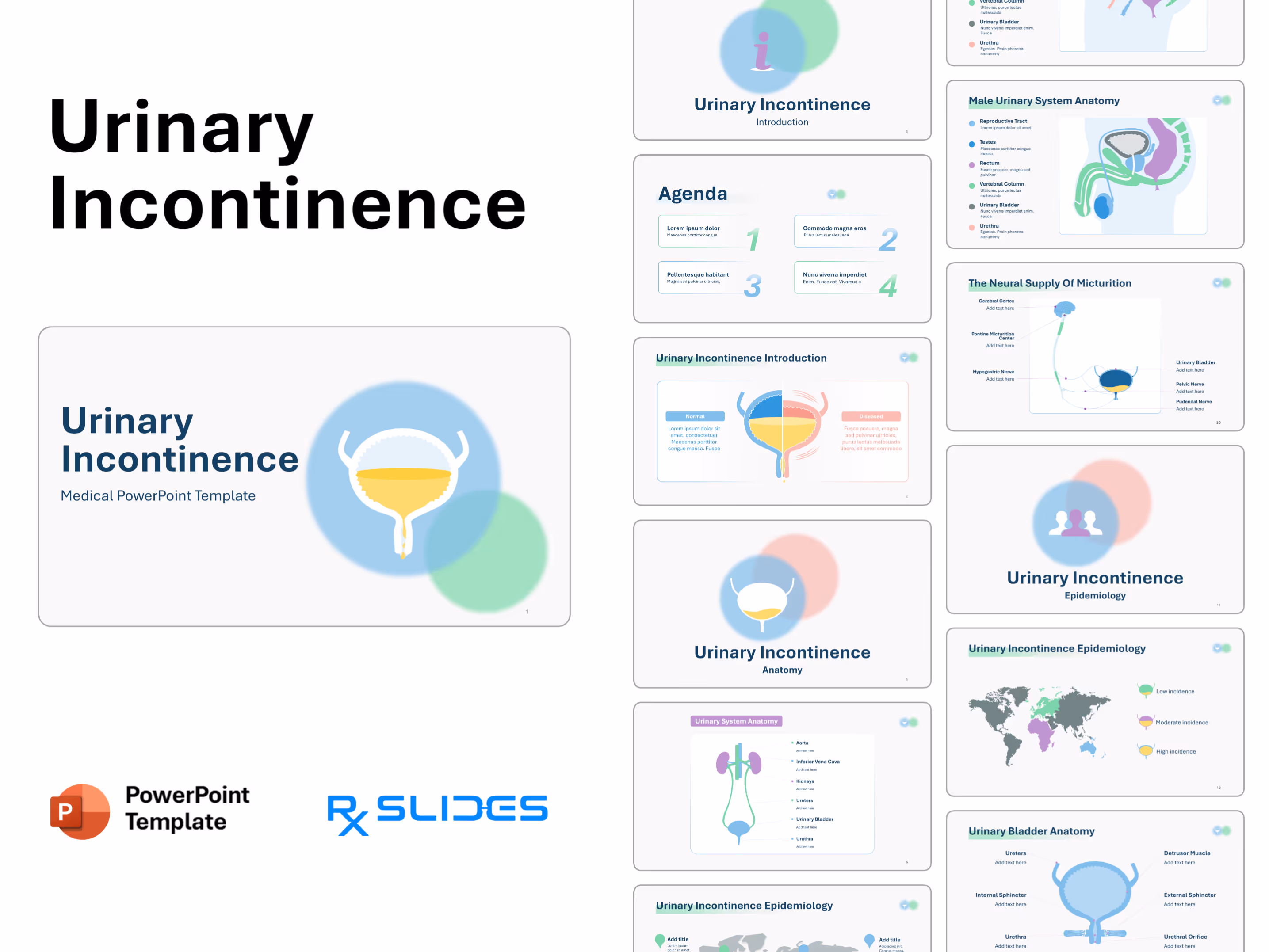 Urinary Incontinence PowerPoint Template