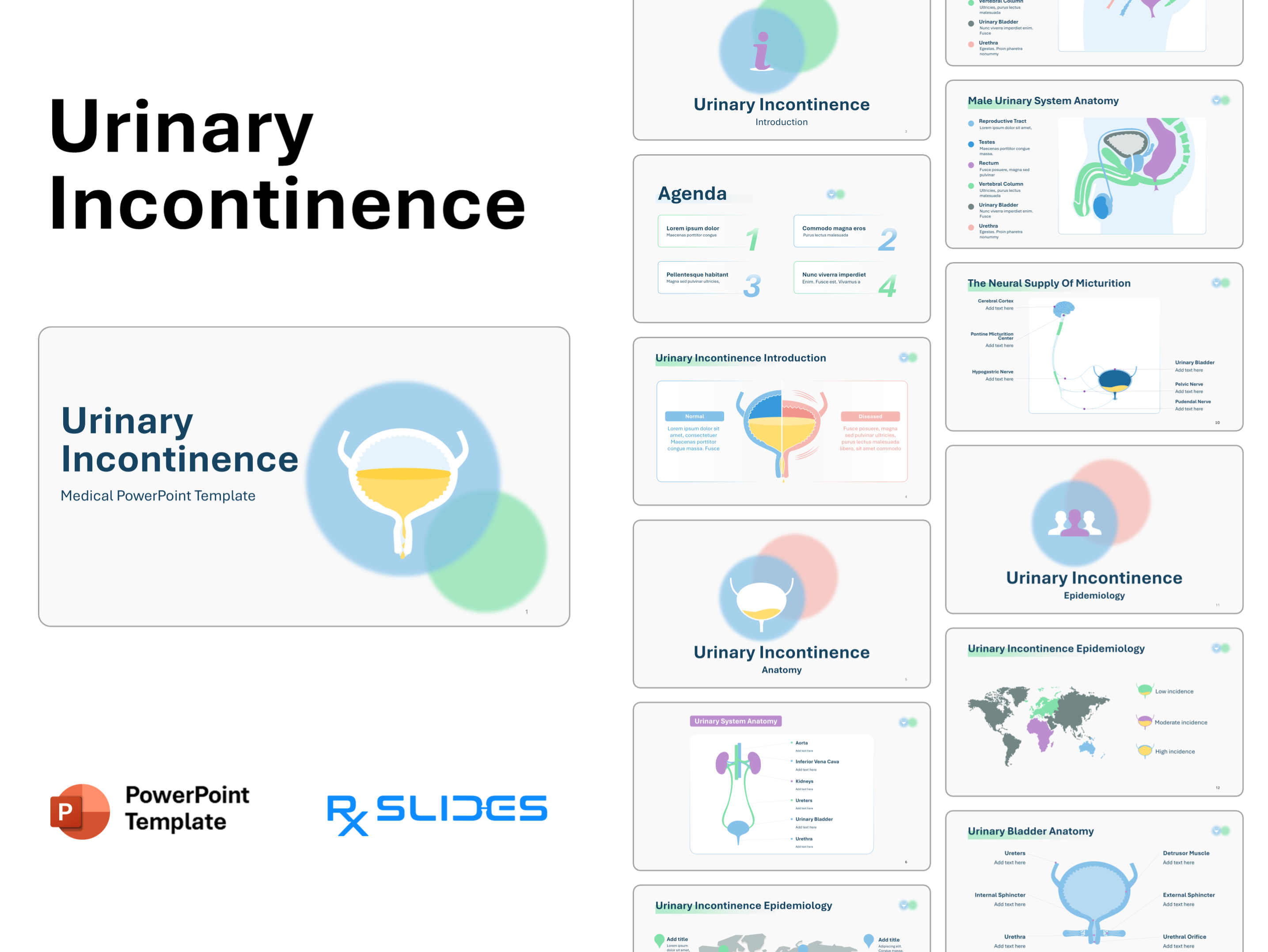 Urinary Incontinence PowerPoint Template