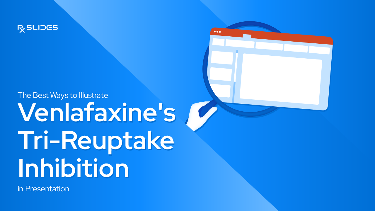 The Best Ways to Illustrate Venlafaxine's Tri-Reuptake Inhibition in Presentation