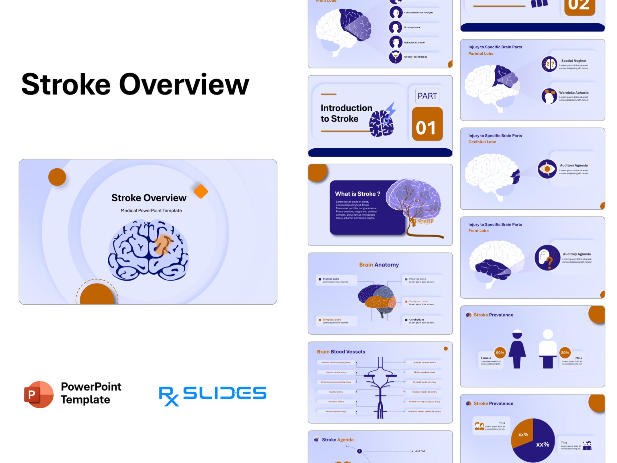 Stroke Overview Presentation Template