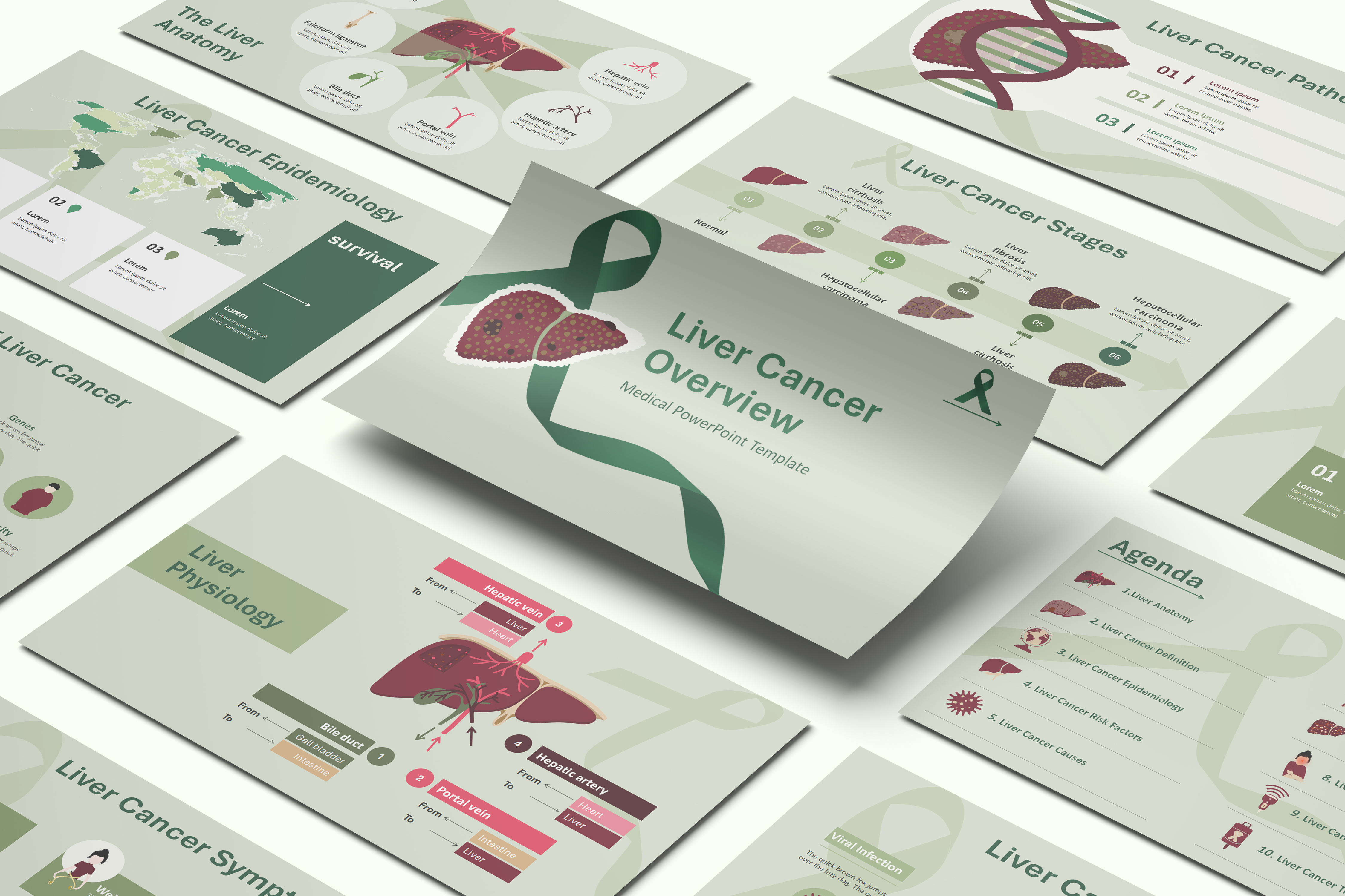Liver Cancer PowerPoint Template