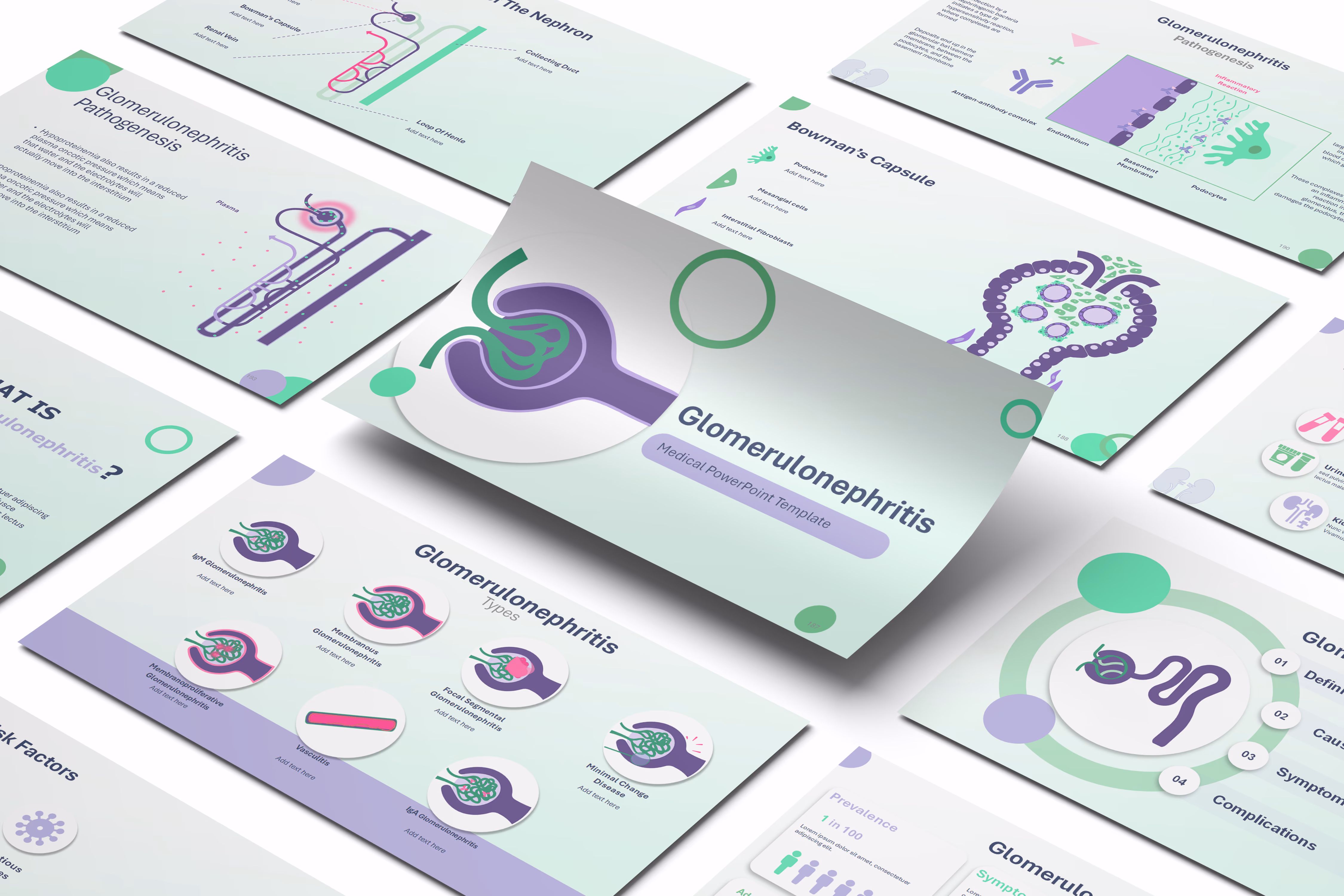Glomerulonephritis PowerPoint Template