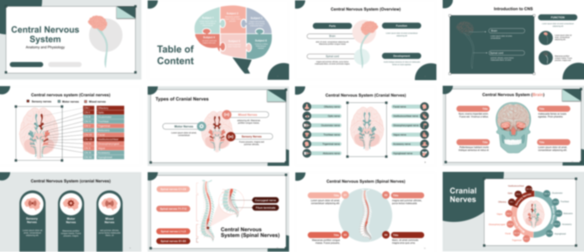 CNS Anatomy and Physiology PowerPoint Template slide preview