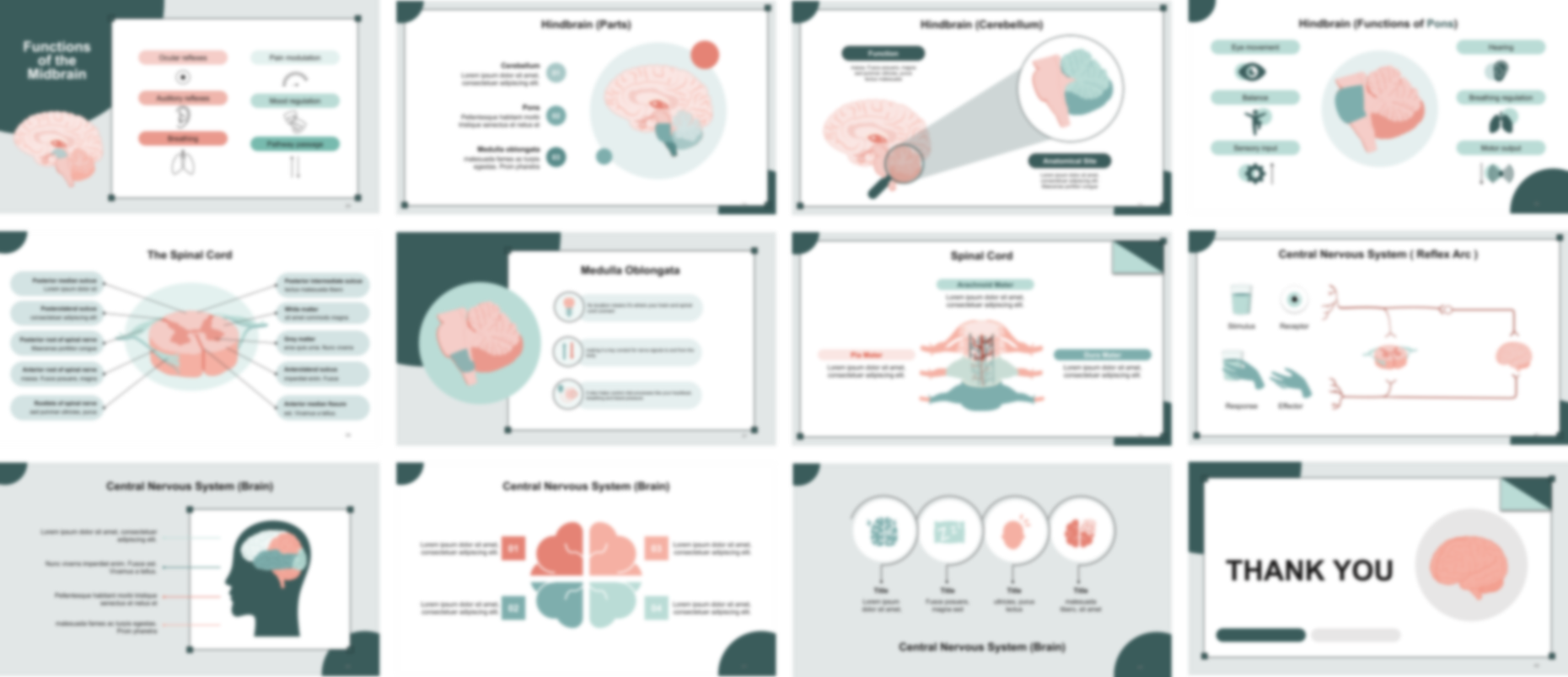 CNS Anatomy and Physiology PowerPoint template design preview