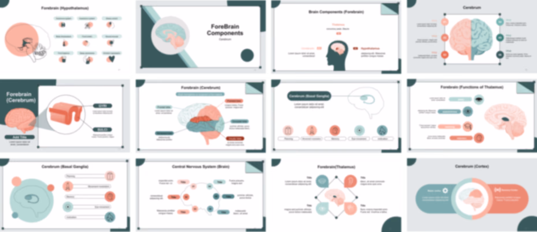 CNS Anatomy and Physiology presentation Template preview
