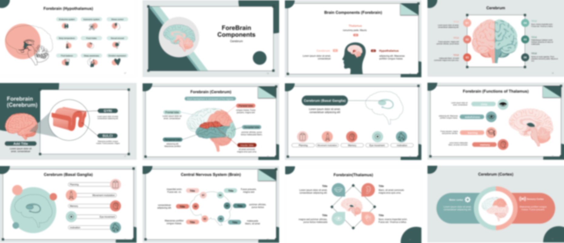 CNS Anatomy and Physiology presentation Template preview