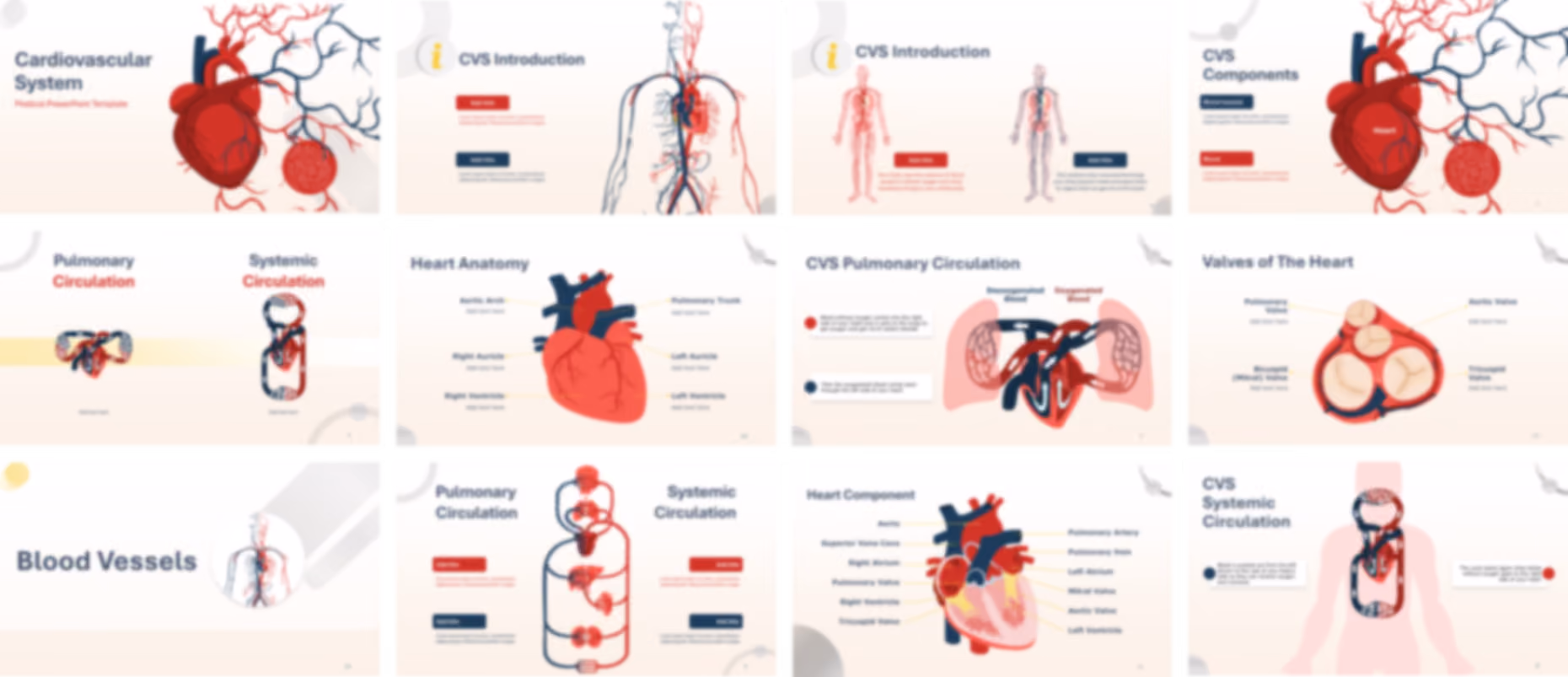 Cardiovascular System Anatomy & Physiology PowerPoint Template slide preview