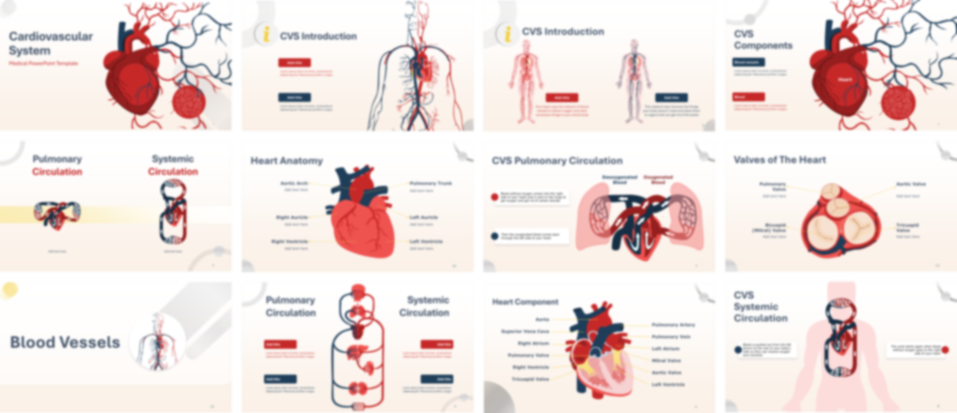 Cardiovascular System Anatomy & Physiology PowerPoint Template slide preview