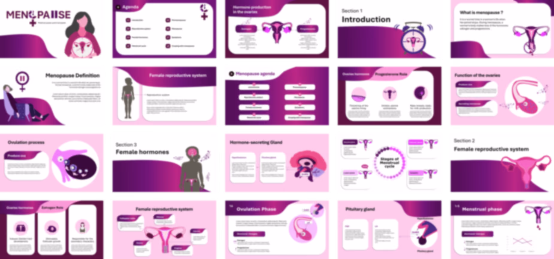 Menopause PowerPoint Template slide preview