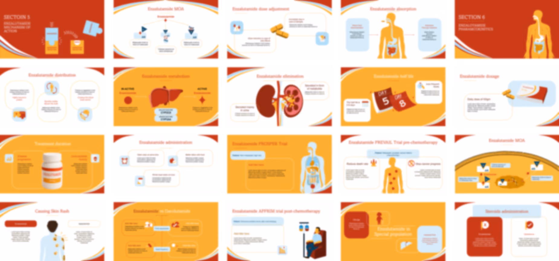 Enzalutamide presentation Template preview