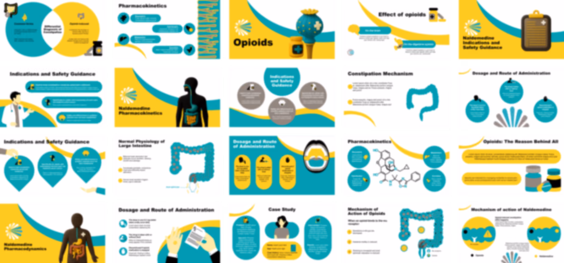 Naldemedine presentation Template preview