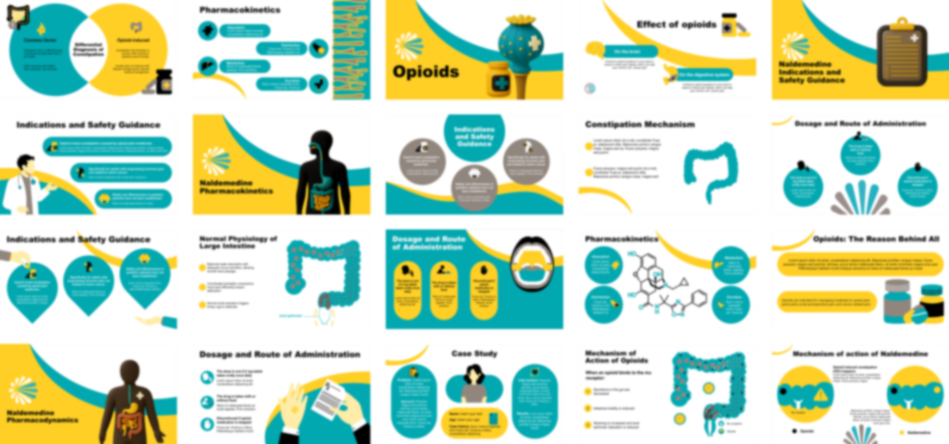 Naldemedine presentation Template preview