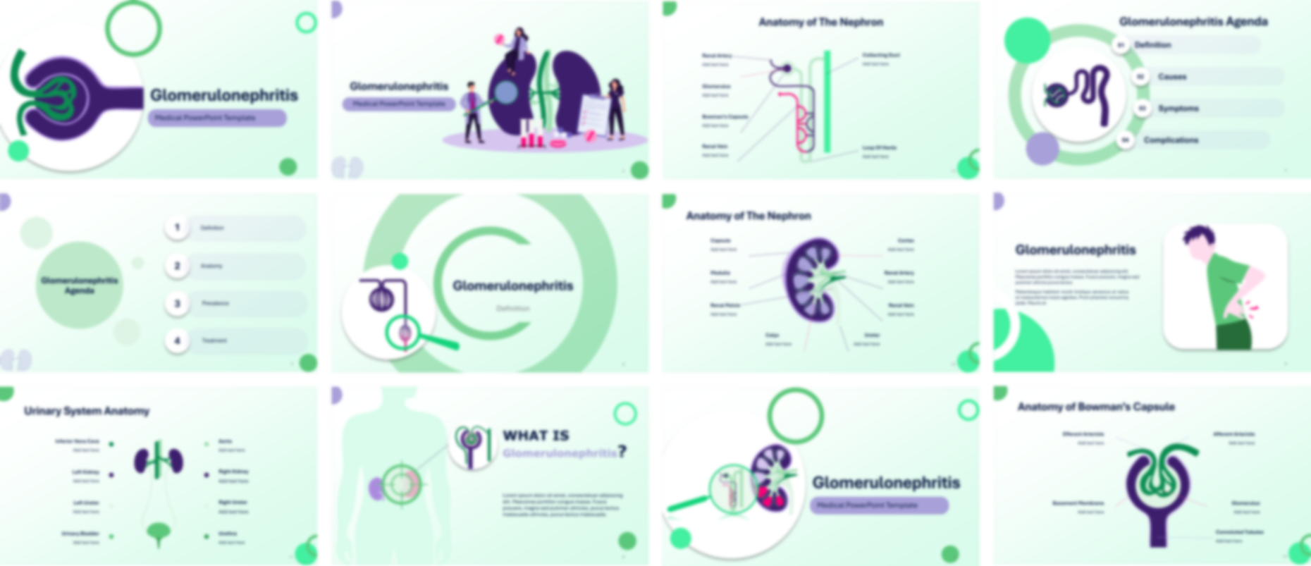 Glomerulonephritis PowerPoint Template slide preview
