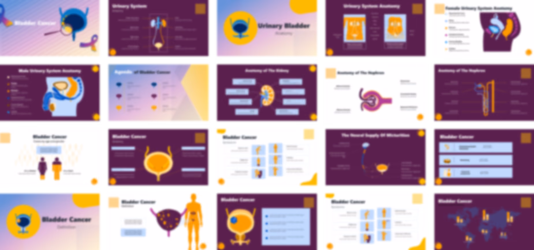 Bladder Cancer PowerPoint Template slide preview