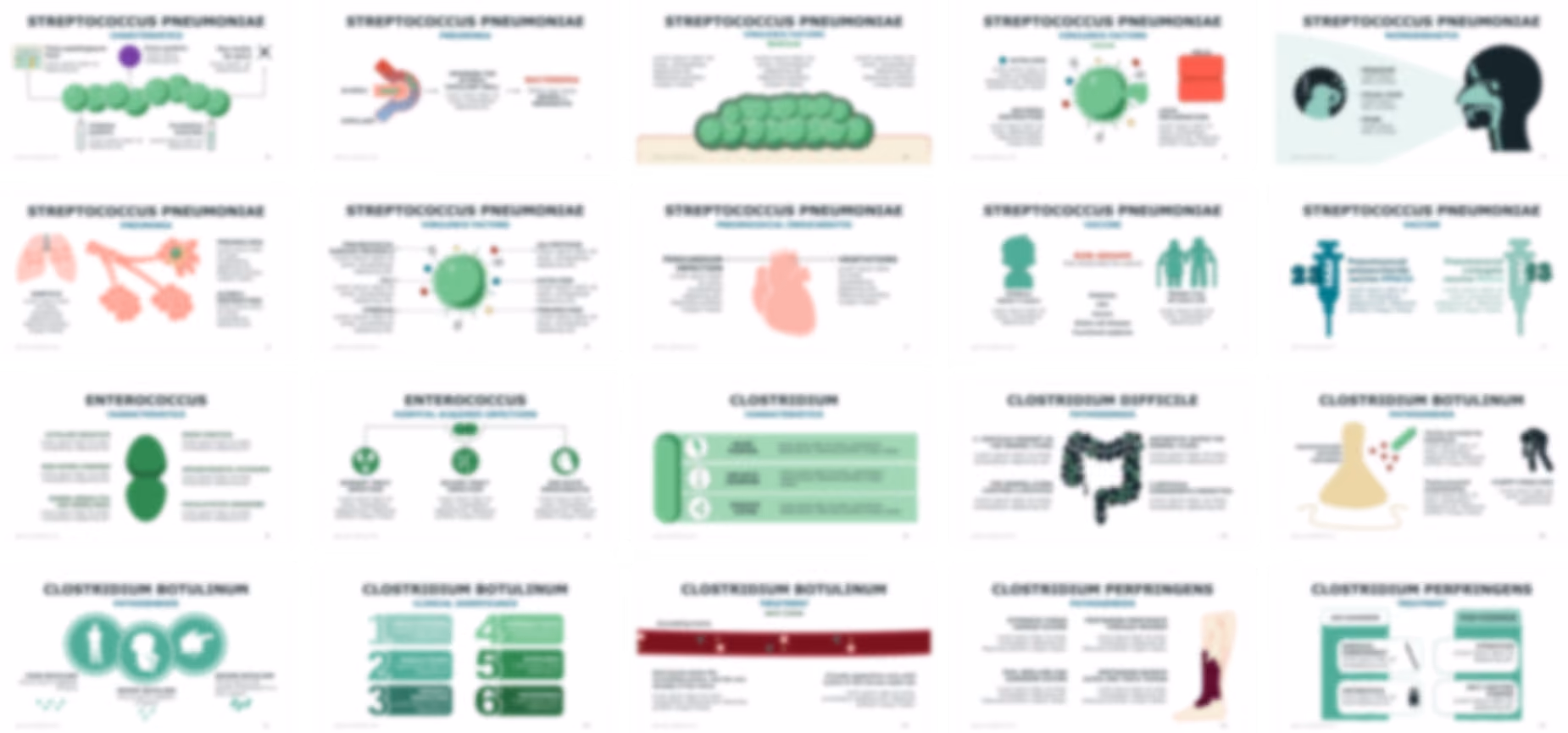 Bacteriology PowerPoint template design preview