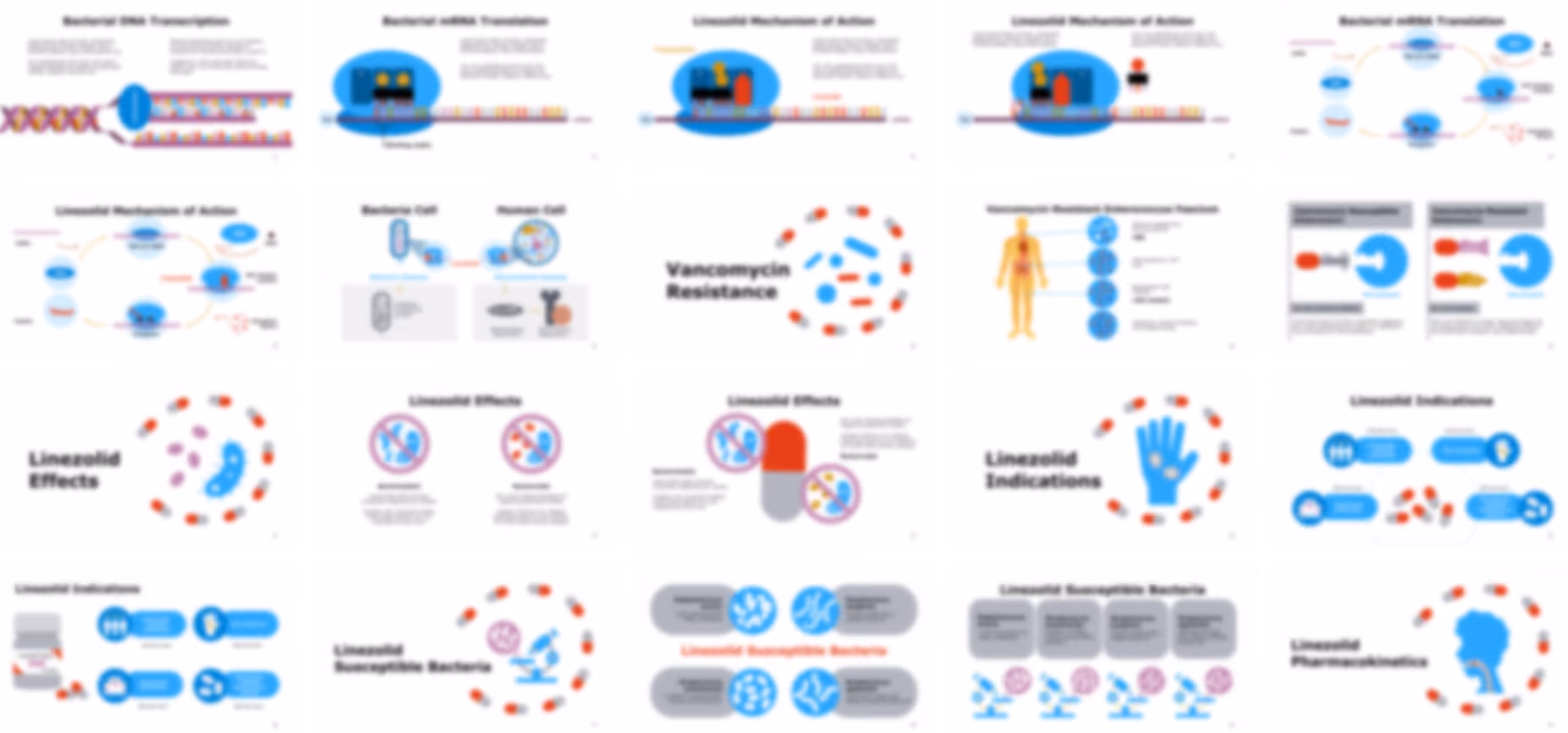 Linezolid presentation Template preview