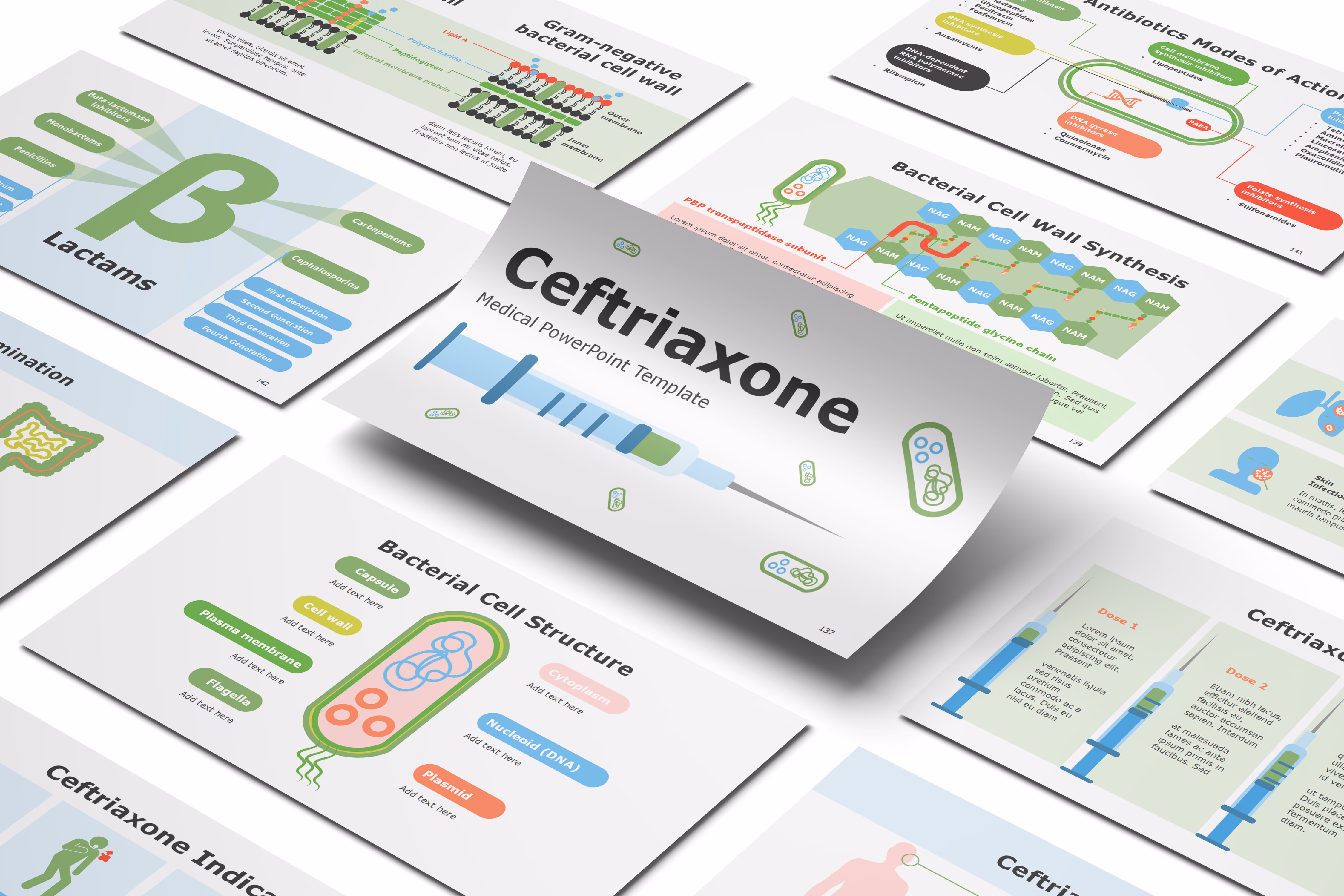 Ceftriaxone PowerPoint Template