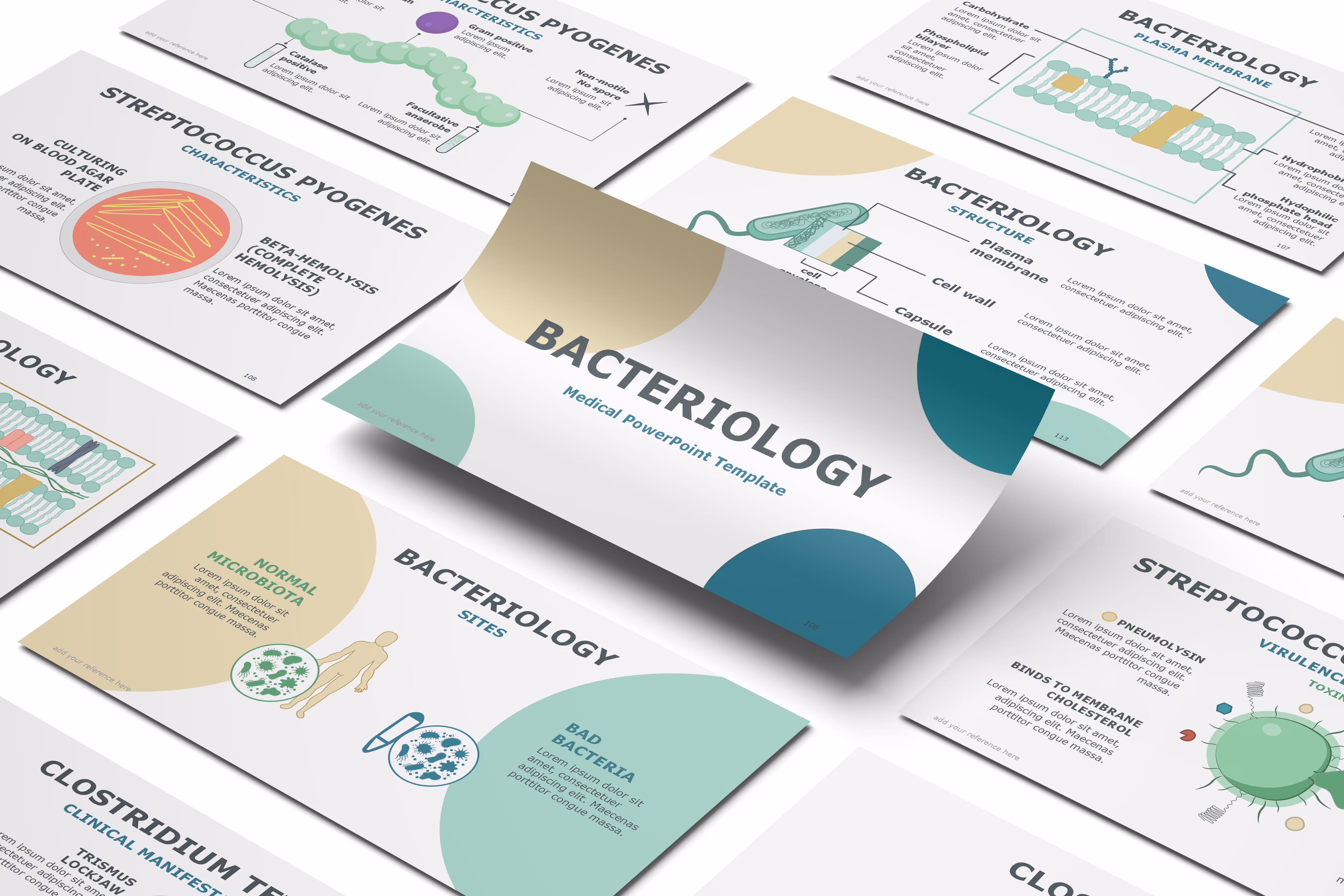 Bacteriology PowerPoint Template 