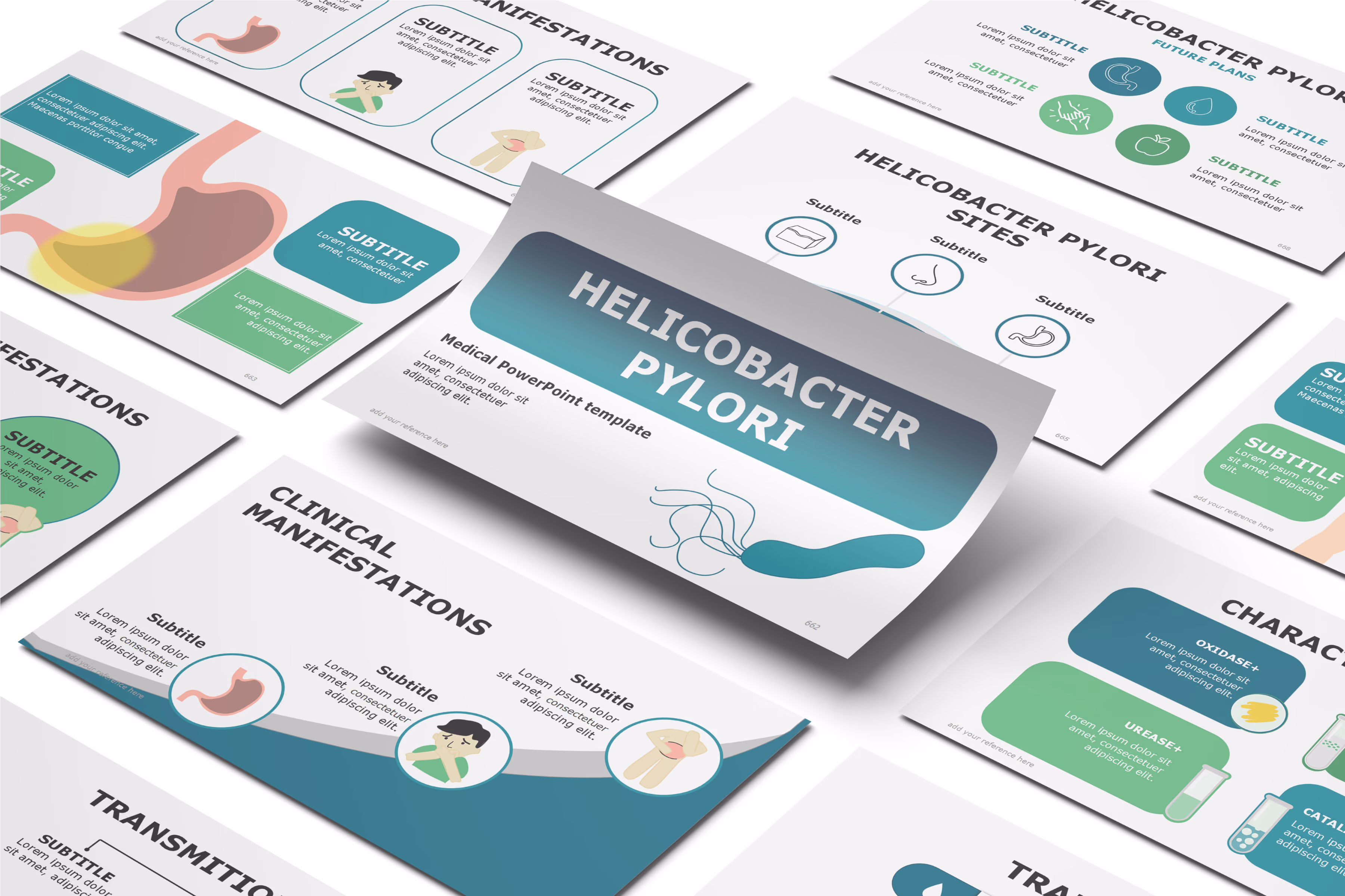 Helicobacter Pylori PowerPoint Template